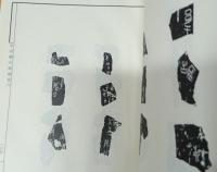 甲骨続存補編　甲編（上中下）