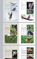 国家重保護野生動物図鑑　鳥類
