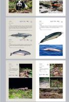 国家重保護野生動物図鑑　鳥類