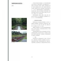 王陵秘色　銭镠墓越窯青瓷