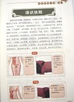 図解扁鵲心書