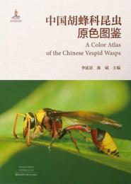 中国胡蜂科昆虫原色図鑑