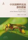 中国胡蜂科昆虫原色図鑑