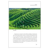 中国茶 一片樹葉的伝奇(英文版)中国人文標識系列