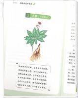 詩情画意中草薬