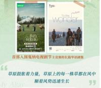 私のアルタイ　To the Wonder　我的阿勒泰