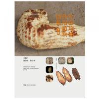 中国珍稀薬用植物図典 全3冊