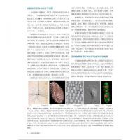 細胞生物学精要（原書第五版）