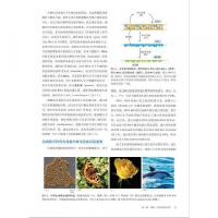 細胞生物学精要（原書第五版）