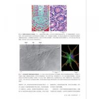 細胞生物学精要（原書第五版）