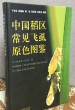 中国稲区常見飛虱原色図鑑