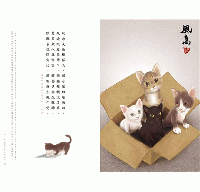 奴詩‧來詩