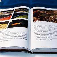 中国蝦虎魚