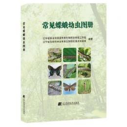 常見蝶蛾幼虫図册