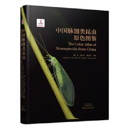 中国脉翅類昆虫原色図鑑