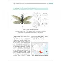 中国脉翅類昆虫原色図鑑