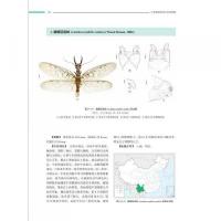 中国脉翅類昆虫原色図鑑