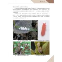 中国介殼虫原色図鑑-半翅目・[虫介]次目