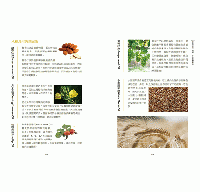 中醫芳療應用全書：零基礎一次弄懂經絡、陰陽、五行！92種精油ｘ2款按摩法，順應四季、男女、人體法則的芳療事典！〔2024暢銷改版〕綠生活