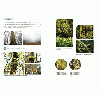 台灣苔蘚微觀誌：從零開始的賞苔之旅，帶你一起走進迷你森林！物種辨識 × 探蘚路線 × 養苔攻略(綠生活)