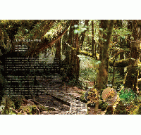 台灣苔蘚微觀誌：從零開始的賞苔之旅，帶你一起走進迷你森林！物種辨識 × 探蘚路線 × 養苔攻略(綠生活)