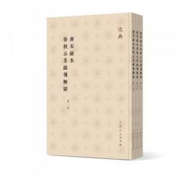 唐石経本春秋公羊経伝解詁(全3冊)儒典