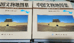 中国文物地図集 甘粛分冊(上下)