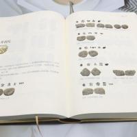 絲綢之路銭幣図鑑