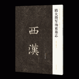 隋大将軍楊素墓誌　新出隋唐碑誌精編