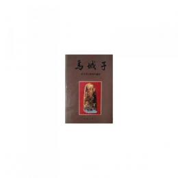 馬城子－太子河上游洞穴遺存（平装）
