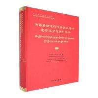 國家級非物質文化遺產西藏昌都嘎瑪嘎赤畫派唐卡遺存保護與技藝傳承（漢文、藏文）