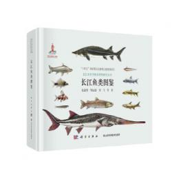 長江魚類図鑑（長江水生生物多様性研究叢書）