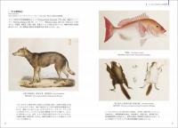 シーボルトと近世の蘭学者たち：前野良沢から伊藤圭介まで〈西南学院大学博物館研究叢書〉
