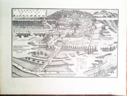 稲田姫神社境内之図　豊後国東国東郡冨来村　詳細な解説付