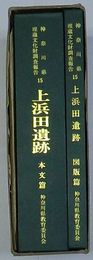 上浜田遺跡　神奈川県埋蔵文化財調査報告書15