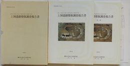 大邱寿城区上洞友邦アパート建立敷地内 上洞遺蹟発掘調査報告書　学術調査報告第21冊(韓文)