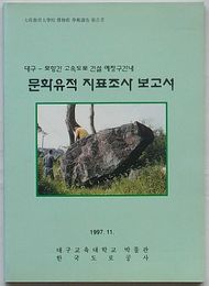 大邱-浦項間高速道路建設予定区間内文化遺蹟地表調査報告書　大邱教育大学校博物館学術調査報告書(韓文)