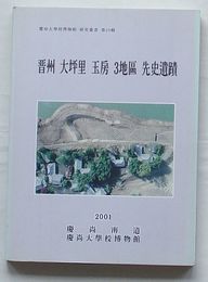 晋州大坪里玉房3地区先史遺蹟　慶尚大学校博物館研究叢書第24輯(韓文)