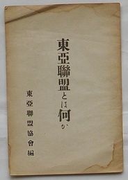 東亜聯盟とは何か