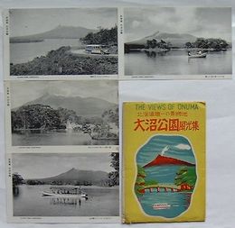 北海道随一の景勝地 大沼公園風光集(絵葉書)