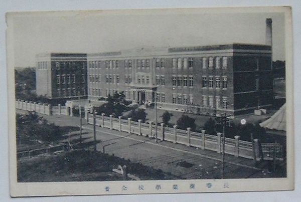 明治三十七八年戦役陸軍凱旋観兵式紀念絵葉書 / 出島書店 / 古本、中古