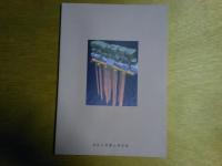 台場　内海御台場の構造と築造 　図録