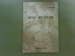 ガラビ・ヌヌマチガマ　シリーズ沖縄の戦争遺跡