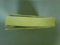 セルピコ　ペガサスドキュメント