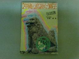 沖縄の魔除け獅子　写真集