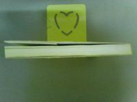 沖縄の魔除け獅子　写真集