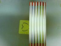 世界絶滅危機動物図鑑　全６巻揃い　難有　（ゆうパック発送）