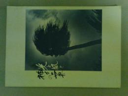 光と風と神々の世界　比嘉康雄回顧展　図録