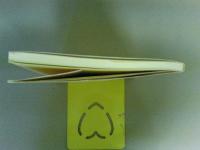 種子島の歴史考