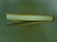 遺伝・人種・社会